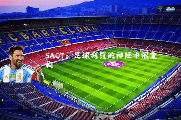 SAOT：足球判罚的神经中枢重构